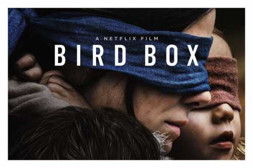 محفظه پرنده (Bird Box)